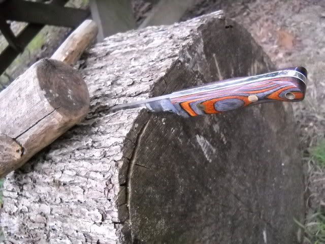 DSCN7239.jpg