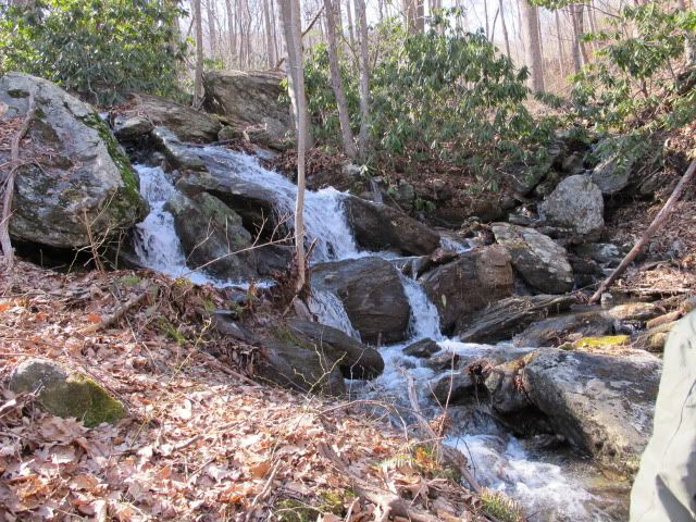 IMG_2373.jpg
