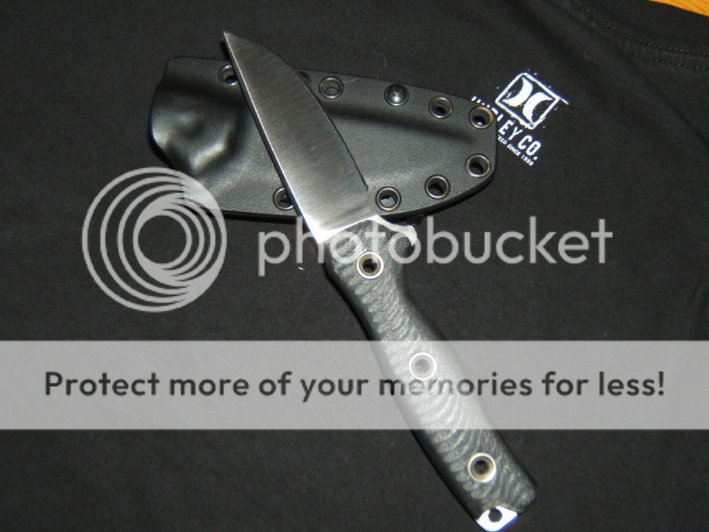 2008_1105SR_BAD_SMF0023.jpg