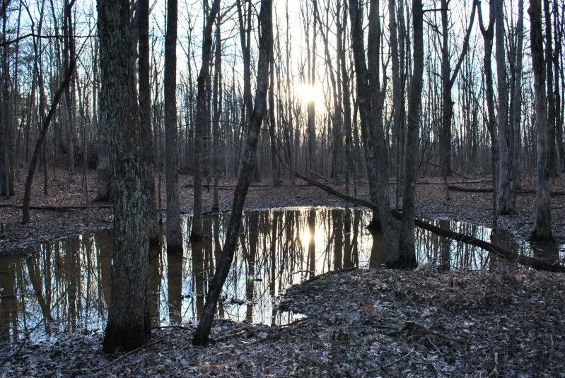 DSC_0517.jpg