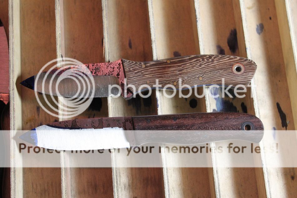 sneak_102715_05.jpg