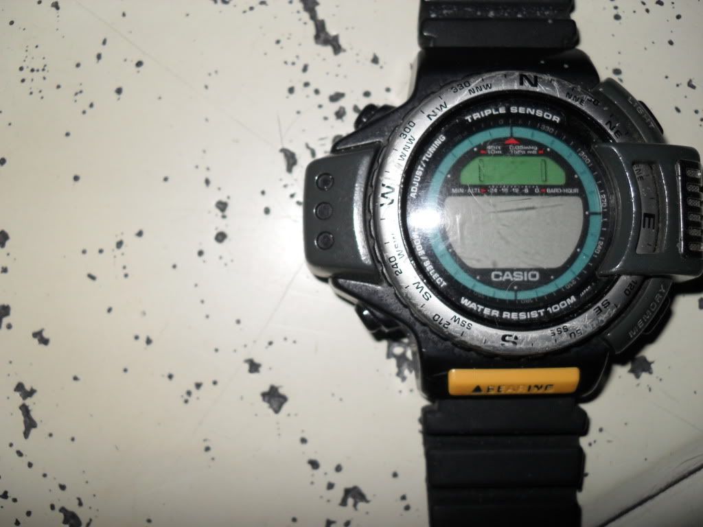 SDC12039.jpg