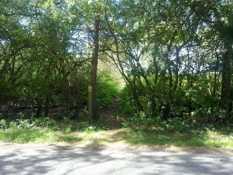 12092011159.jpg