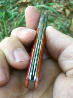 f07fcaaa45e1f08af4921a37bb275743.jpg
