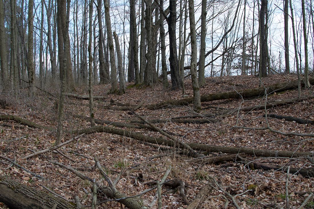 DSC_0069wa_zpsh4mhypf3.jpg