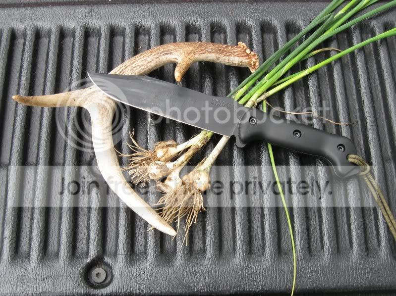AntlerOnions.jpg