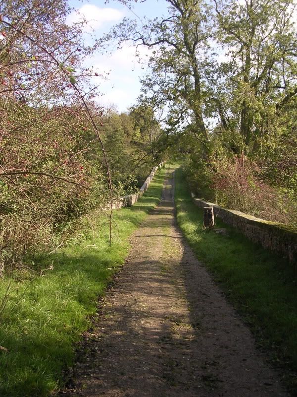 DSCN2903.jpg