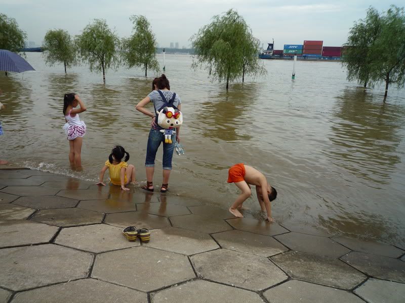 P1070846.jpg