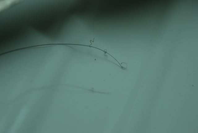DSC_0126s.jpg