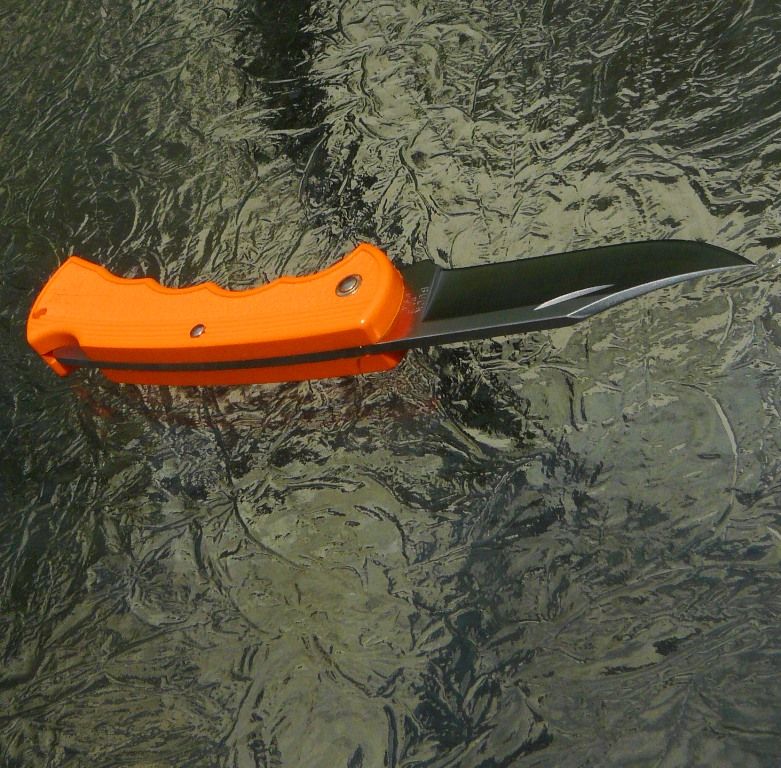 HumpBack450vs442notHump090.jpg