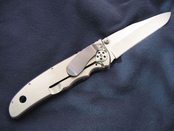 AElishewitzCustom05.gif