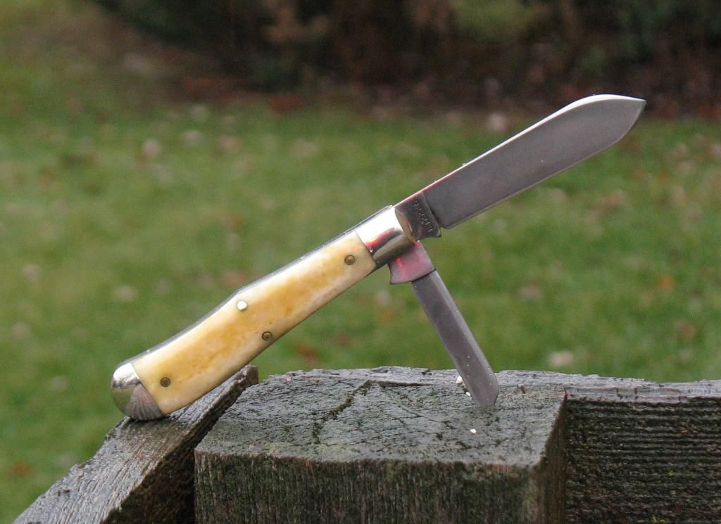 GEC92EJCalicoRa_zps972eec14.jpg
