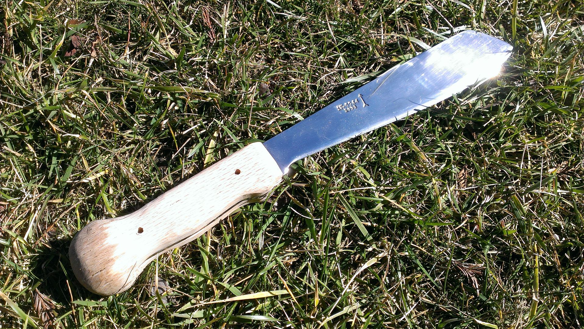 IMAG1107_zps71080791.jpg