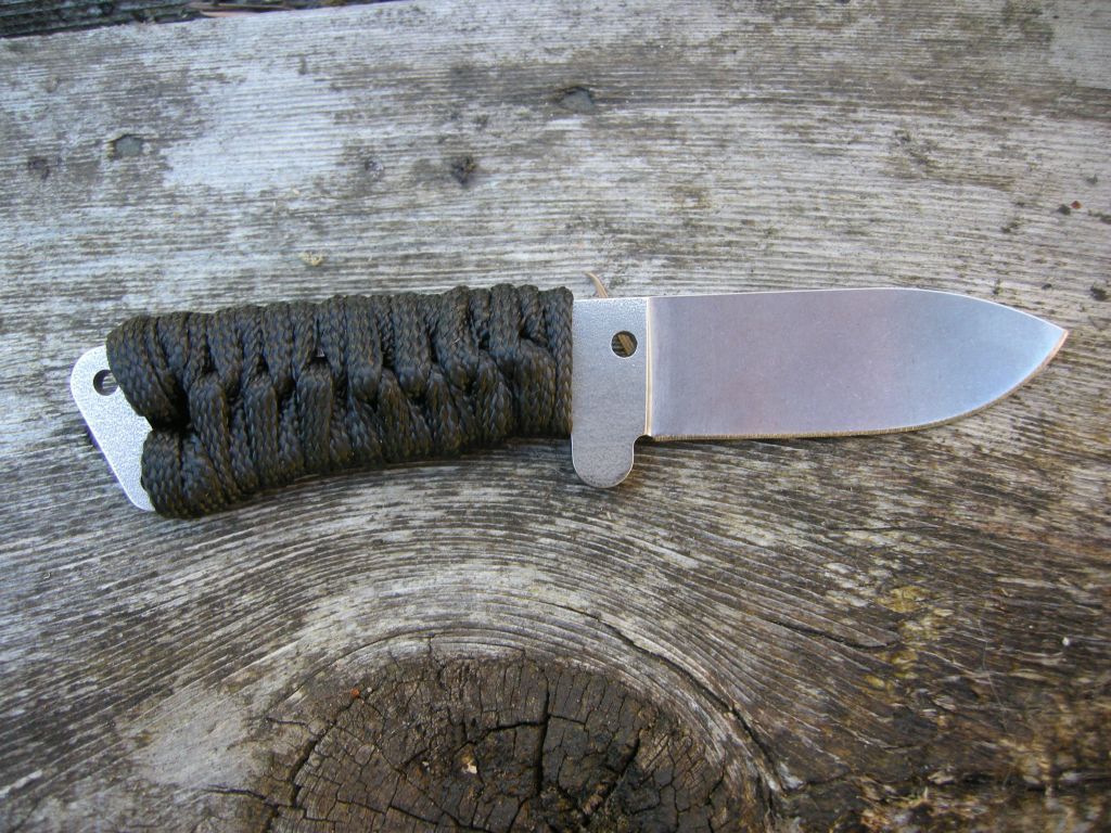 Remora6.jpg