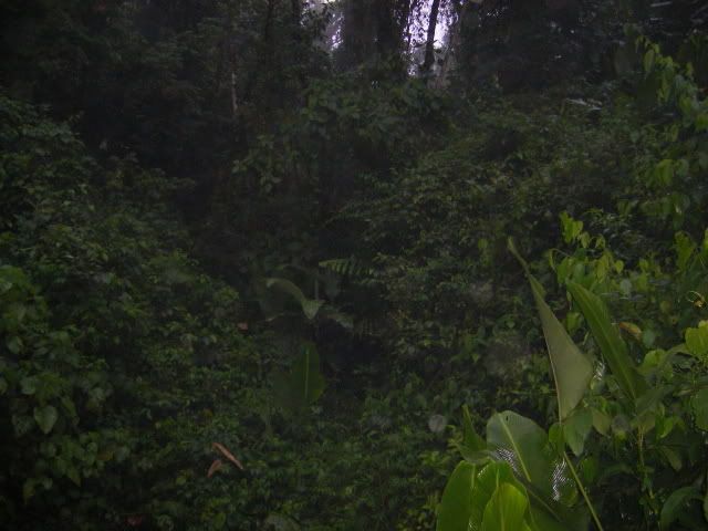 016.jpg