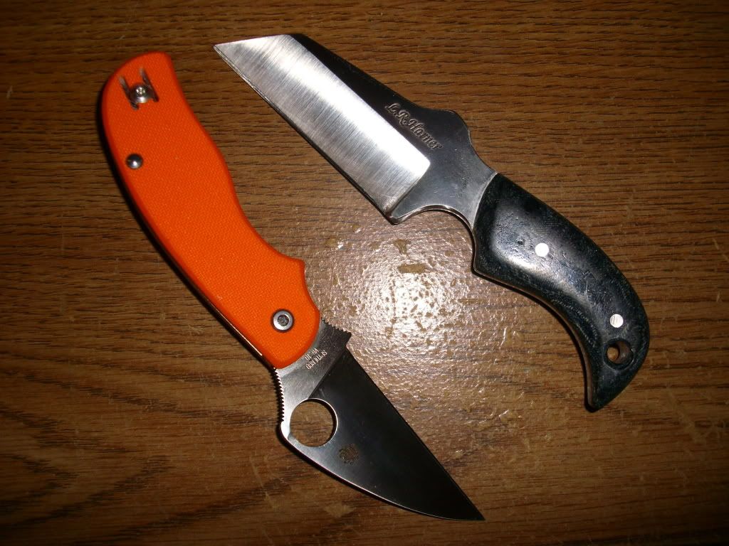 DSCI0538.jpg