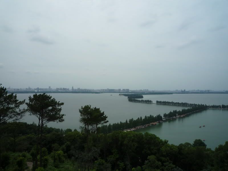 P1080041.jpg