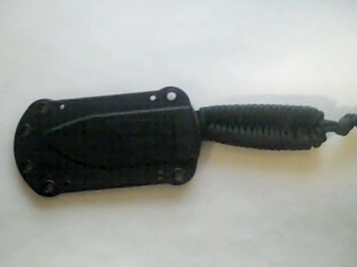 41Mp5kEt1mL.jpg