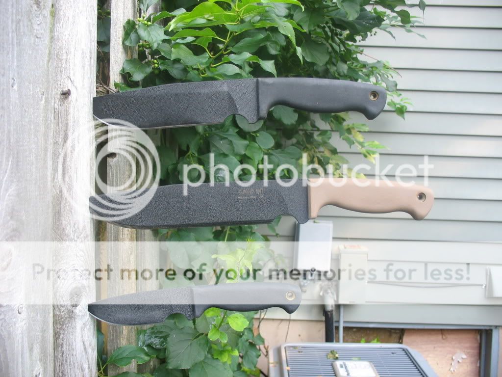 IMG_1827.jpg
