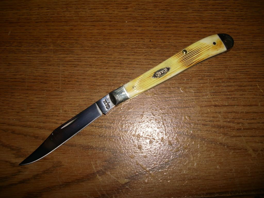 DSCI0563.jpg
