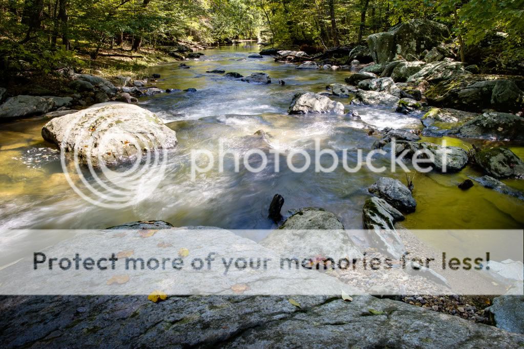 Downstream.jpg