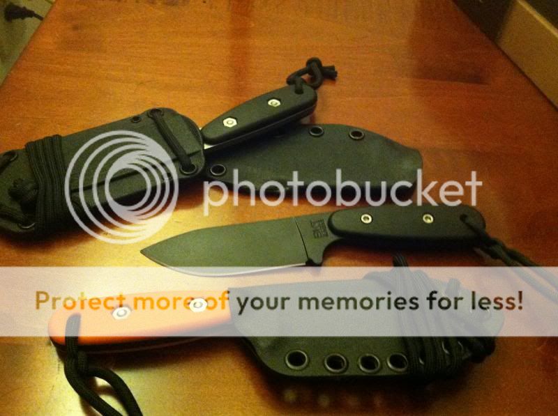 IMG_1227_zpsec9515bb.jpg