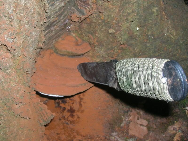 DSCN1548.jpg