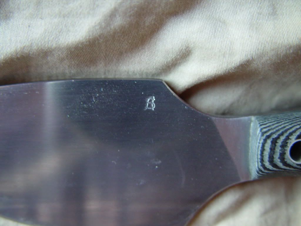DSC06635.jpg