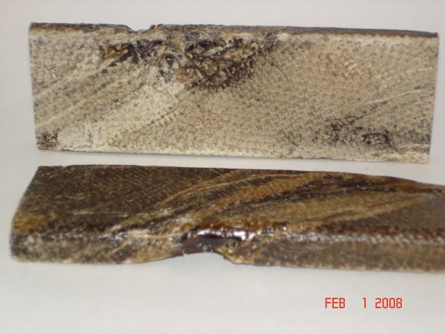 DSC01703.jpg