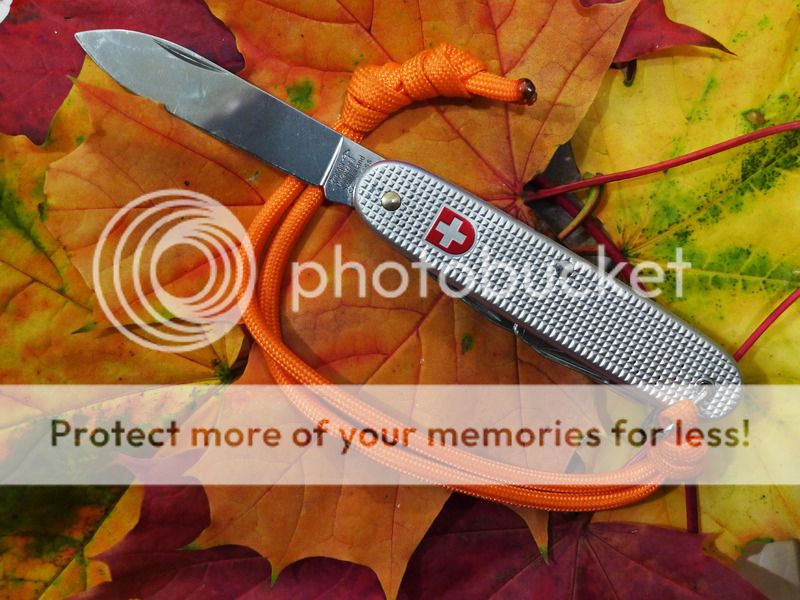 P1150244_zps4r99u8ek.jpg