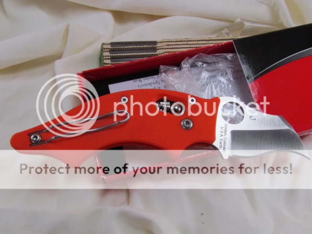 IMG_4741_zpsaf5b5479.jpg