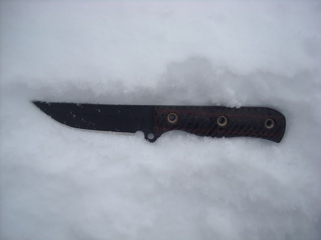 DSCN2894.jpg