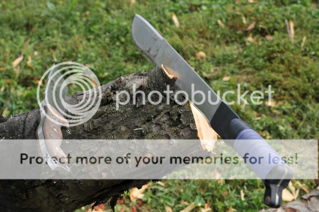 KEV_8874.jpg