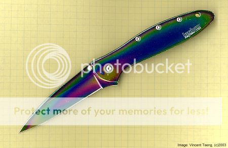 RainbowLeek_grid_S.jpg