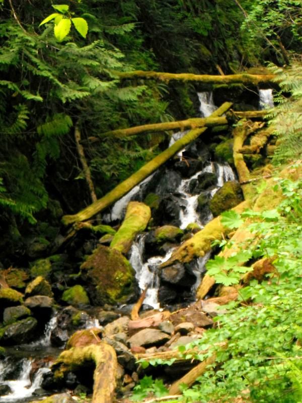 DSCF0673.jpg