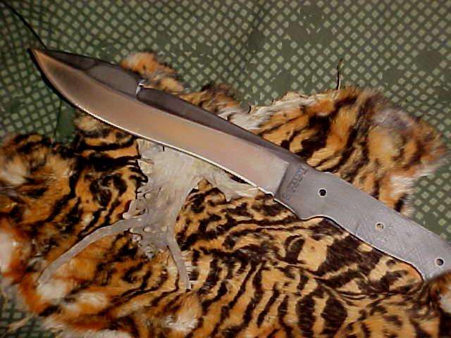 mvc021szu7.jpg