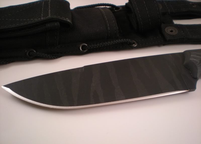 DSCN2039.jpg
