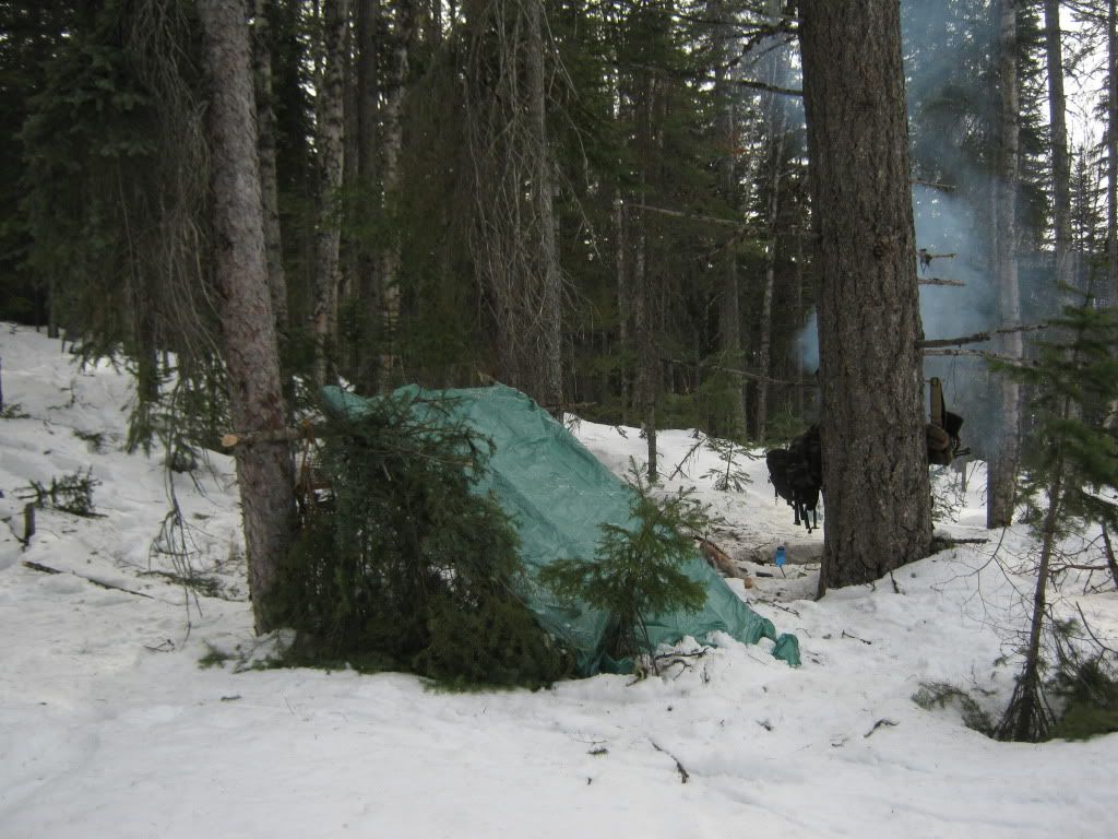 150.jpg