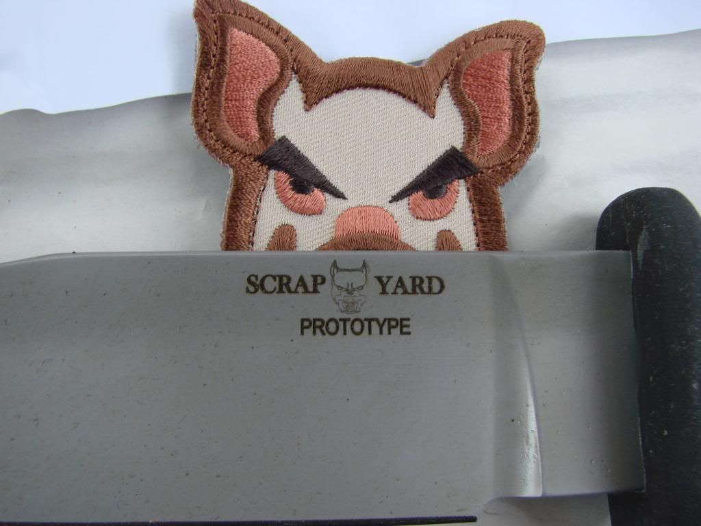 RegulatorProto006.jpg