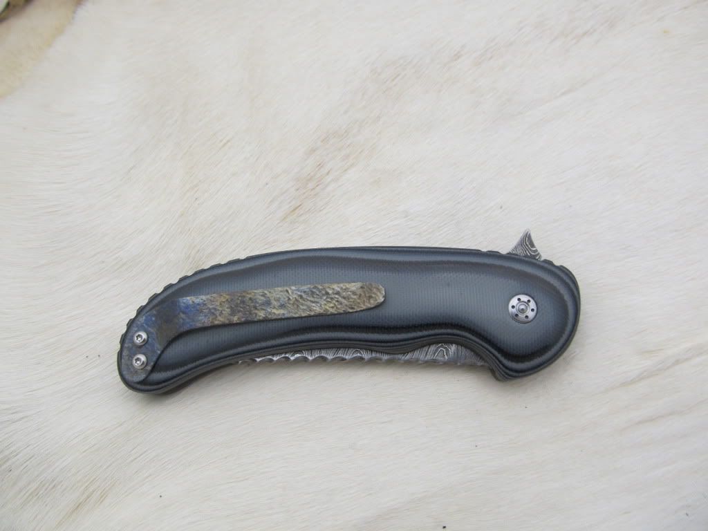 PersianFlipper004.jpg