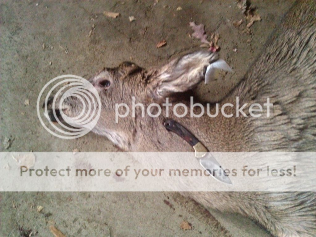 S__6040.jpg
