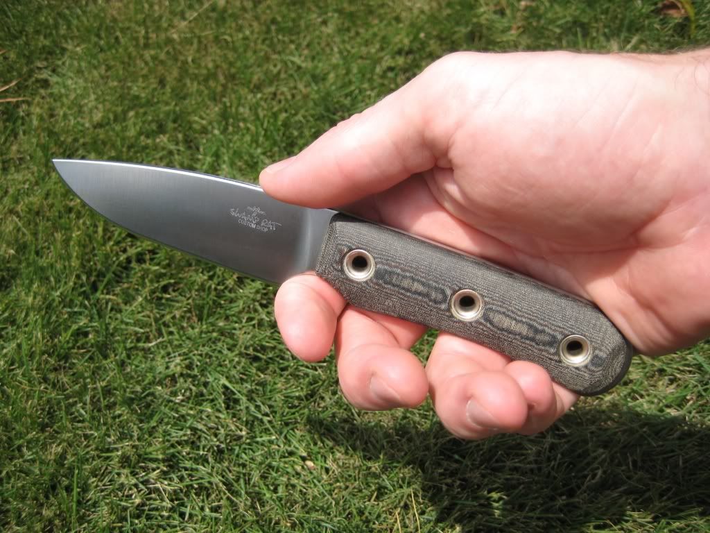 SwampRat-Vexillariusinhand1b.jpg