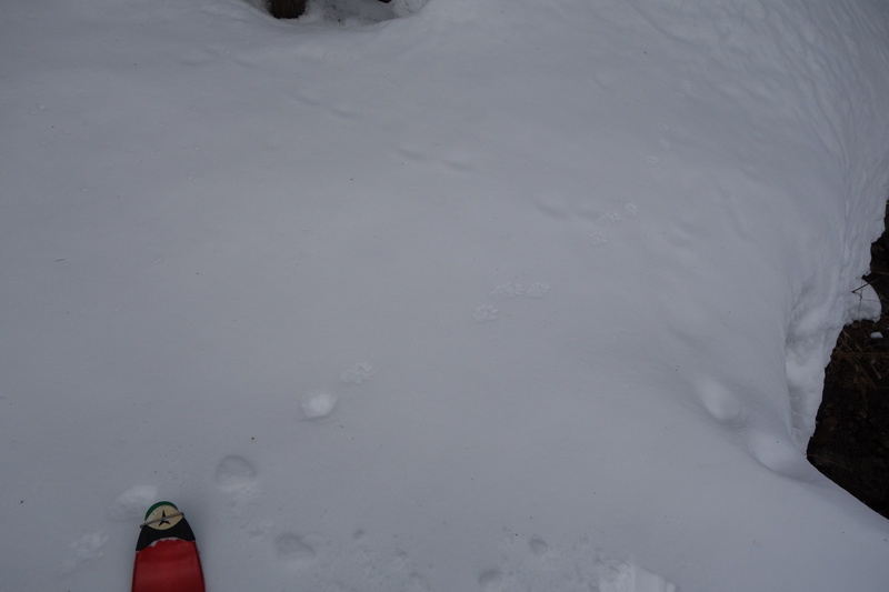 2015.02.08.DSC08890.JPG
