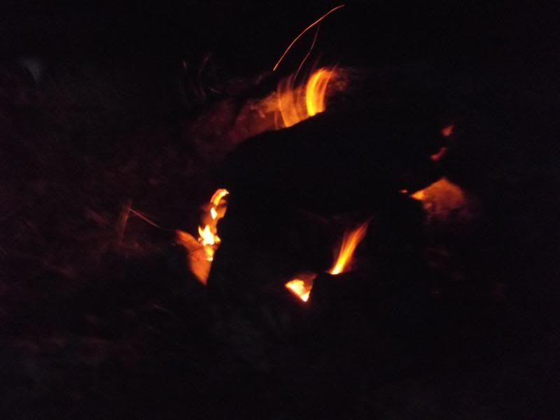 DSCF5059.jpg