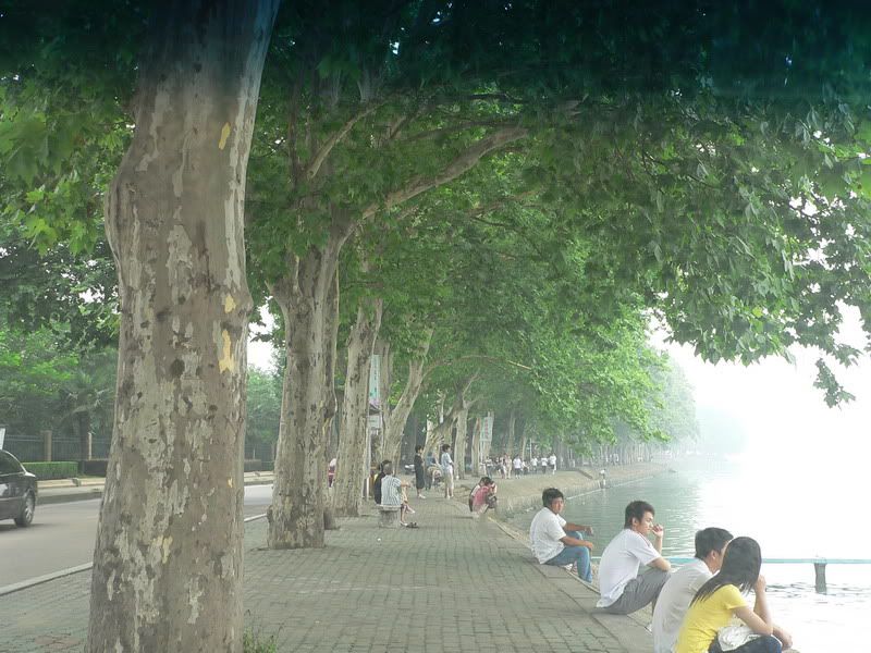 P1410276.jpg