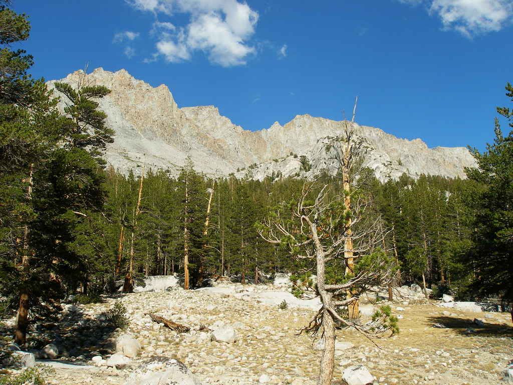 KingsCanyon2008277.jpg