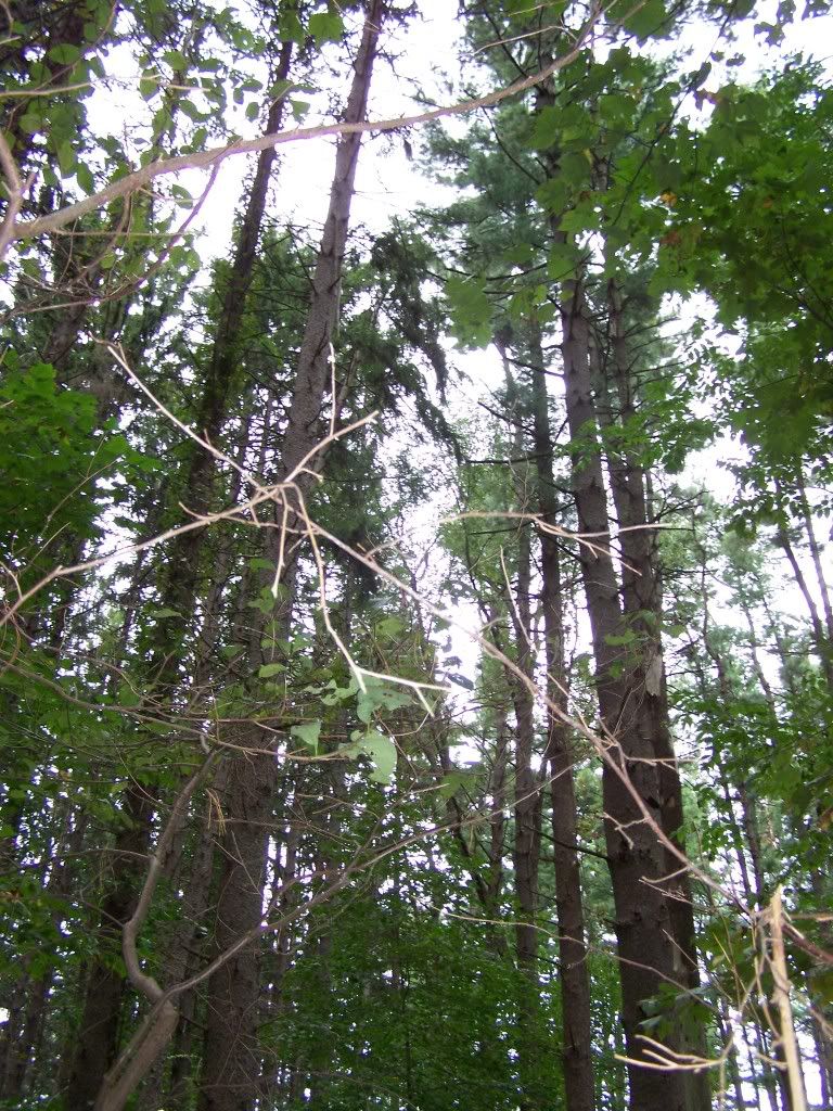 100_5789.jpg