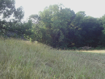 IMAG0155.JPG
