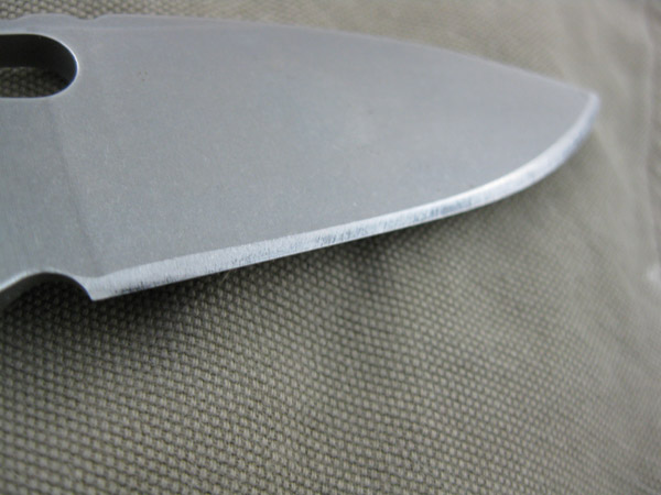 StriderDGG_SnG_012.jpg