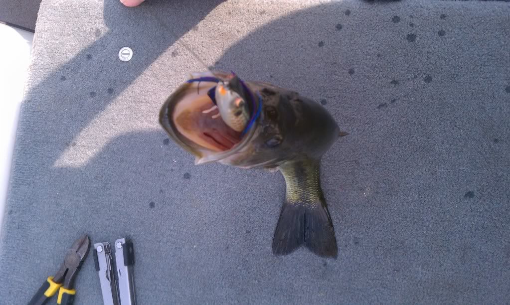 may162012frogbass.jpg